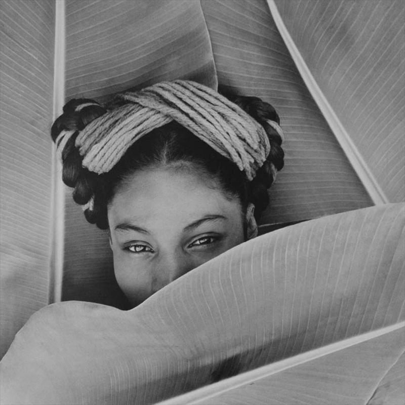 The It Perspective: Photographer Fritz Henle seen 